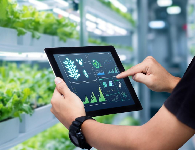 Analytics dashboard showing field data